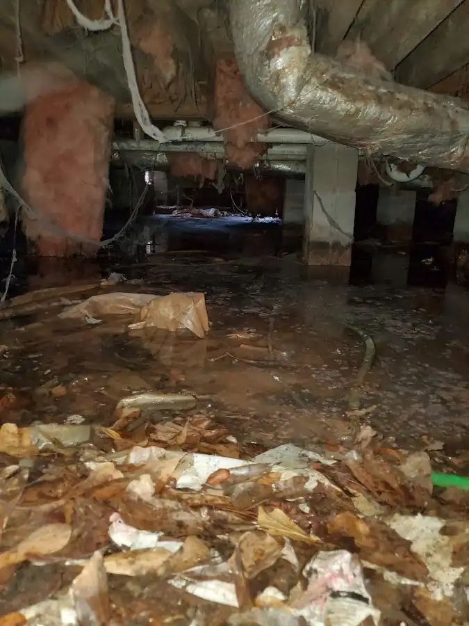 Crawl space flood assessment for Leak Detection & Repair in Golden Valley